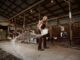 Woman pouring water outside of barn